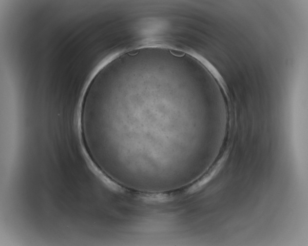 X0000114430957200910161332