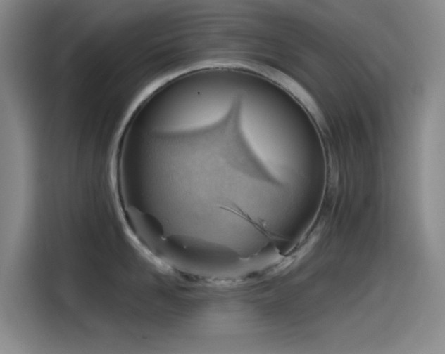 X0000114430958200910161332