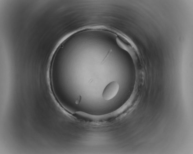 X0000114430959200910161332