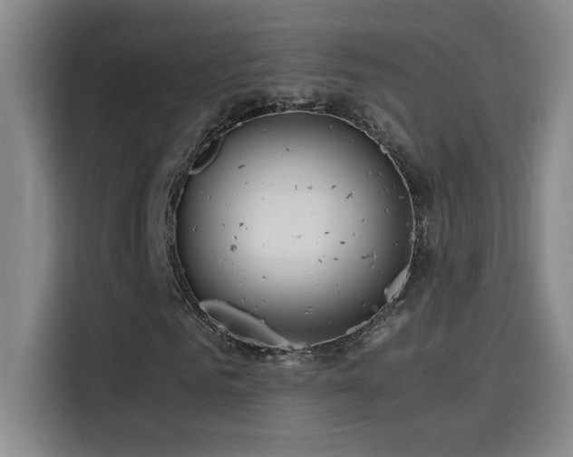 X0000114430961200910161332