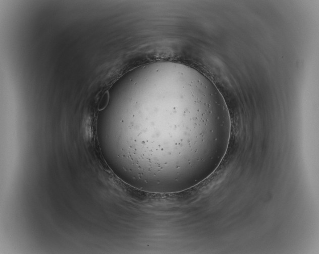 X0000114430962200910161332