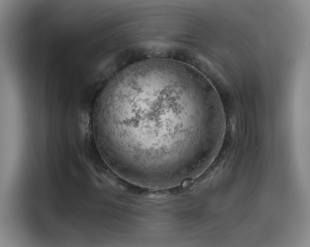 X0000114430964200910161332