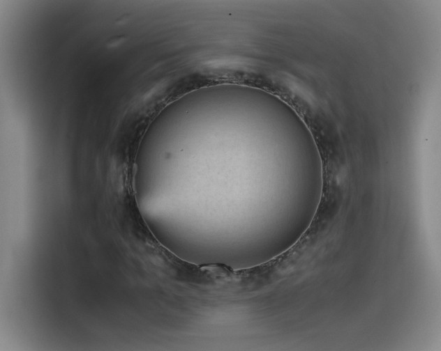 X0000114430965200910161332