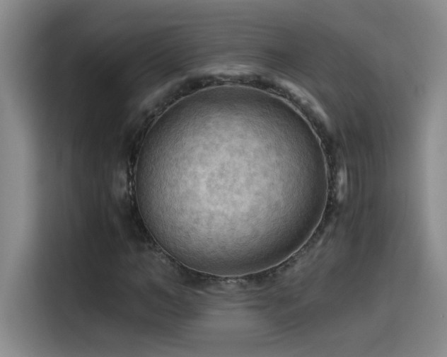 X0000114430966200910161332