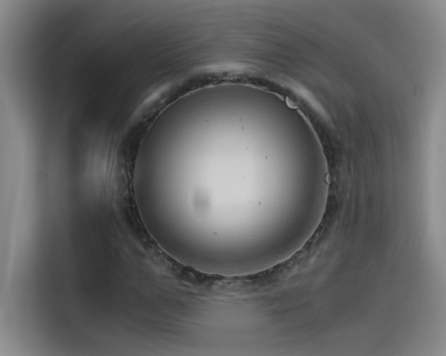 X0000114430967200910161332