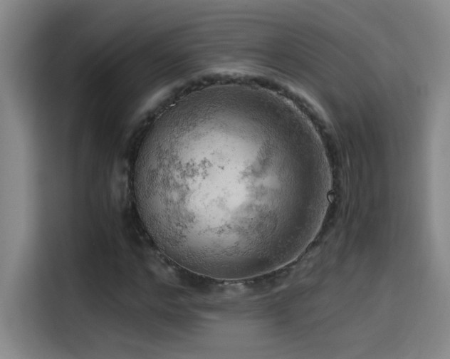 X0000114430968200910161332