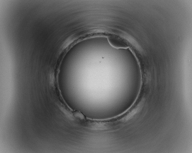 X0000114430969200910161332