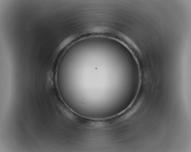 X0000114430970200910161332