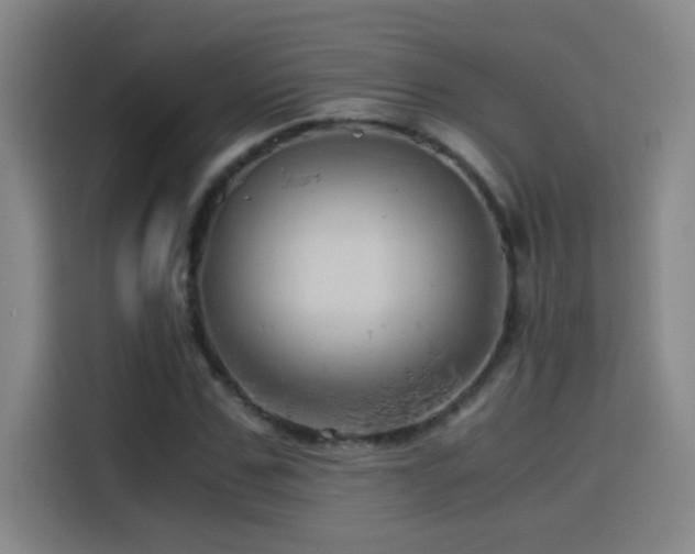 X0000114430971200910161332