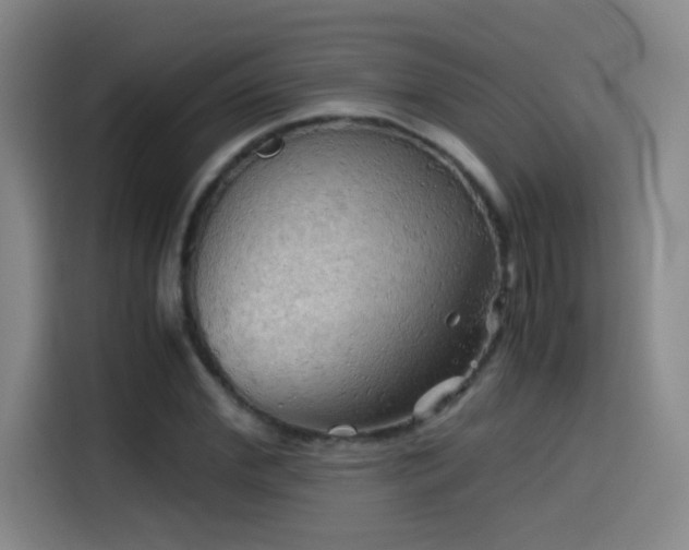 X0000114430972200910161332