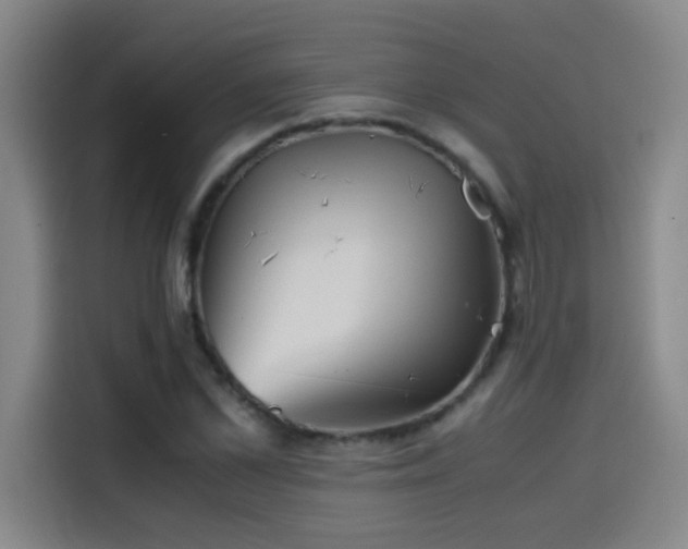 X0000114430973200910161332