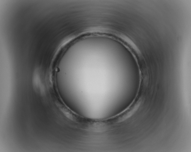 X0000114430974200910161332