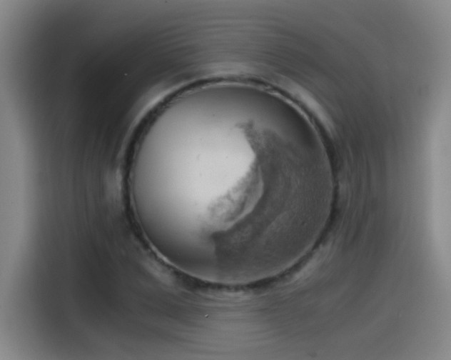 X0000114430975200910161332