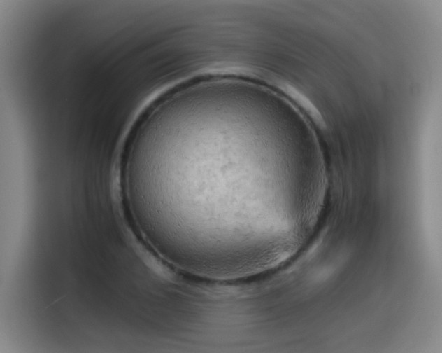 X0000114430976200910161332