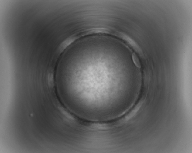 X0000114430977200910161332