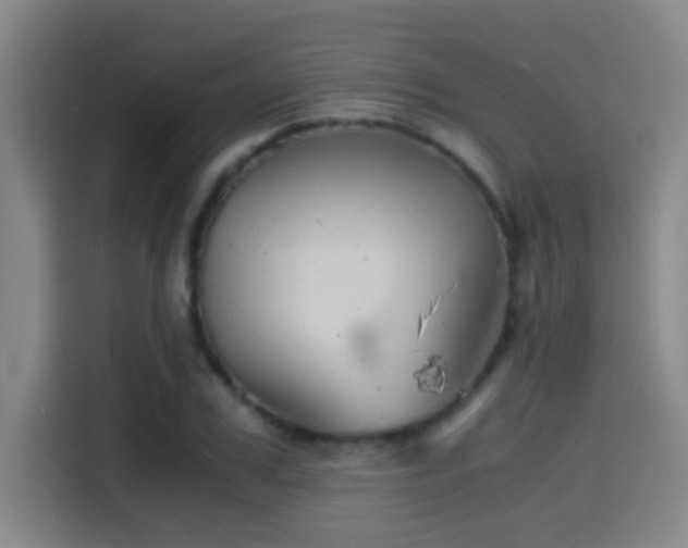 X0000114430979200910161332
