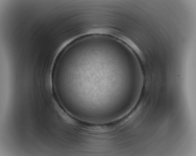 X0000114430980200910161332