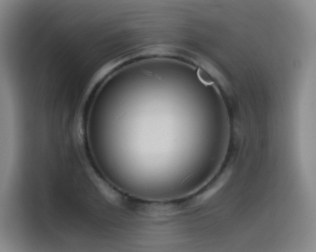 X0000114430981200910161332