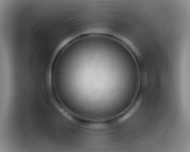 X0000114430982200910161332