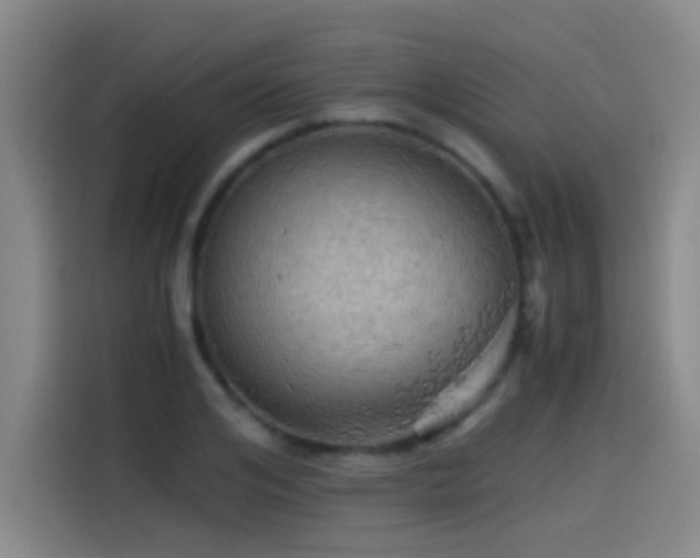 X0000114430984200910161331