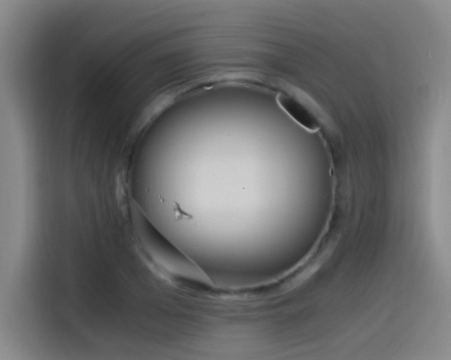 X0000114430985200910161331