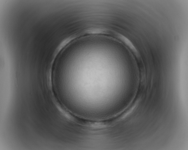 X0000114430986200910161331