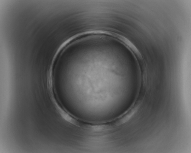 X0000114430988200910161331