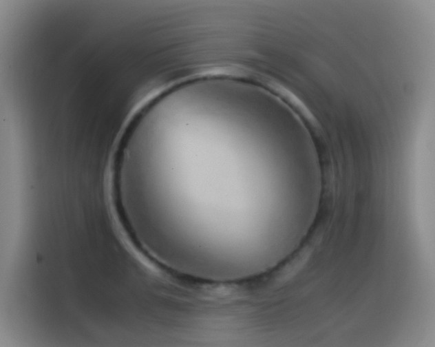 X0000114430991200910161331