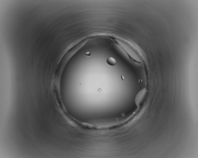 X0000114430993200910161331