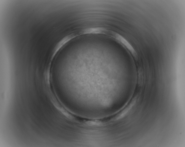 X0000114430994200910161331