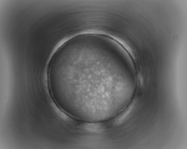 X0000114430998200910161331