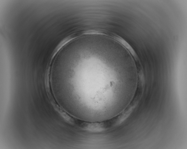 X0000114431002200910161331