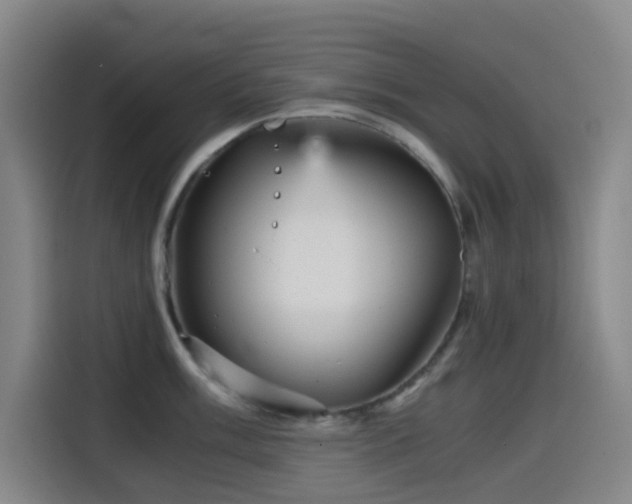 X0000114431003200910161331