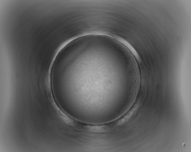 X0000114431004200910161331