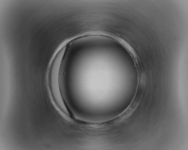 X0000114431005200910161331