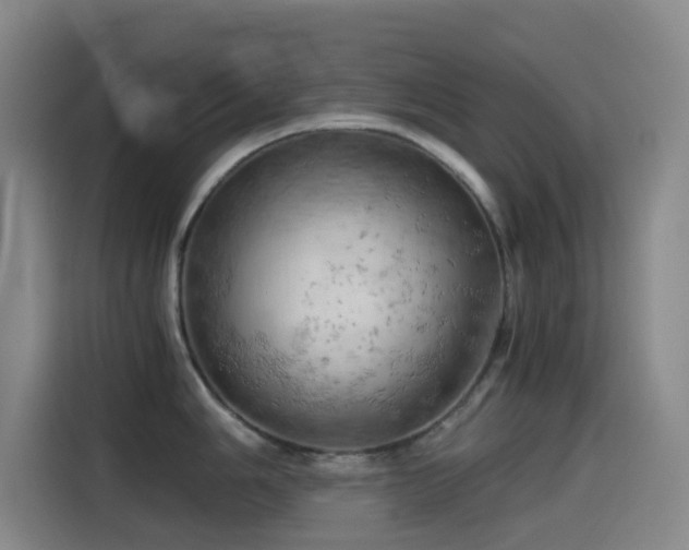 X0000114431006200910161331