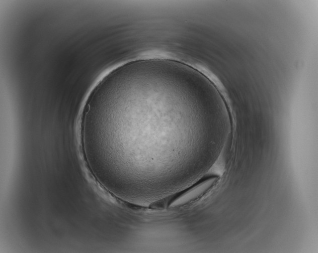 X0000114431008200910161331