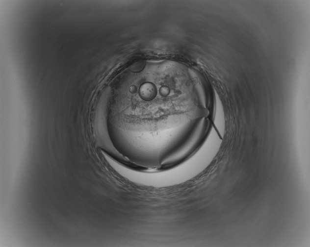 X0000114431009200910161330