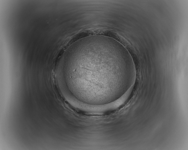 X0000114431010200910161330