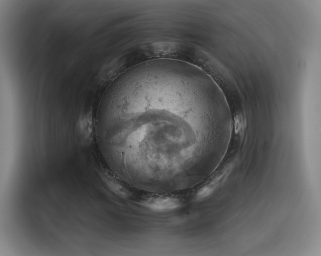 X0000114431011200910161330