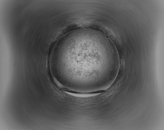 X0000114431012200910161330