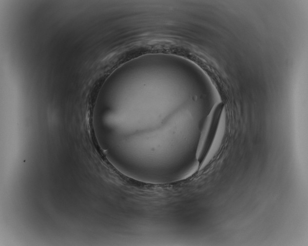 X0000114431013200910161331