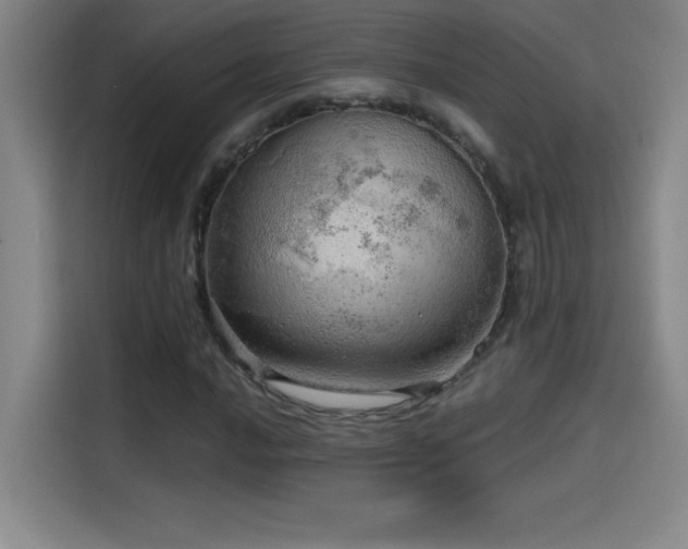 X0000114431016200910161331