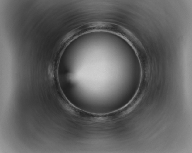 X0000114431017200910161331
