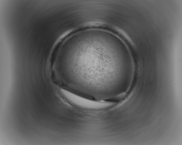 X0000114431018200910161331
