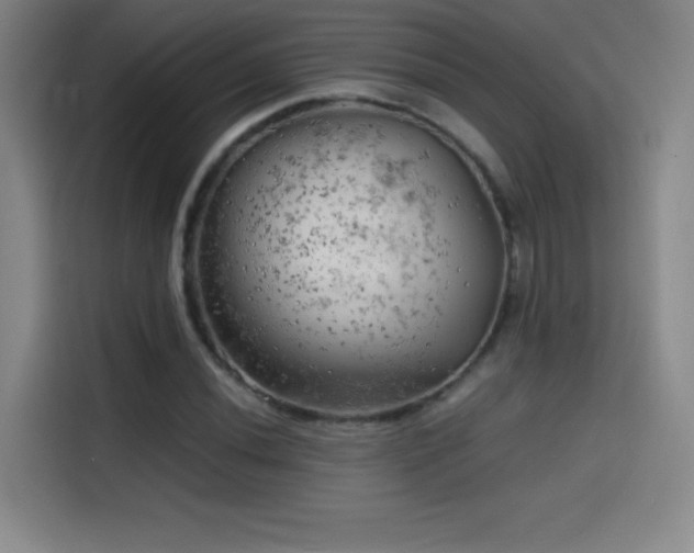 X0000114431020200910161331