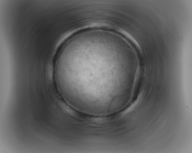 X0000114431021200910161331