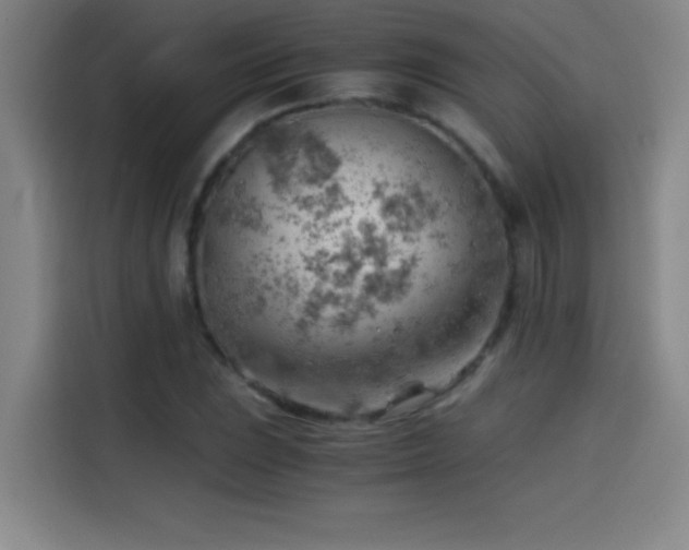X0000114431023200910161331