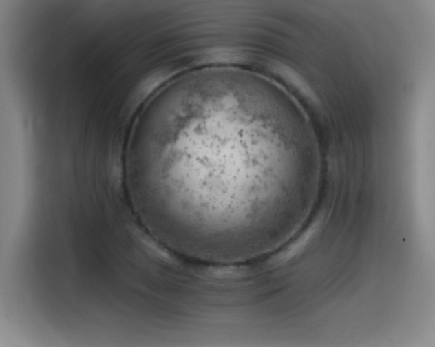 X0000114431025200910161331