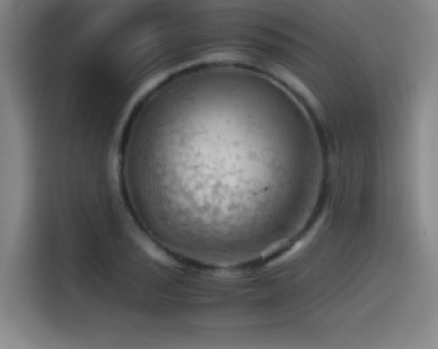 X0000114431029200910161331